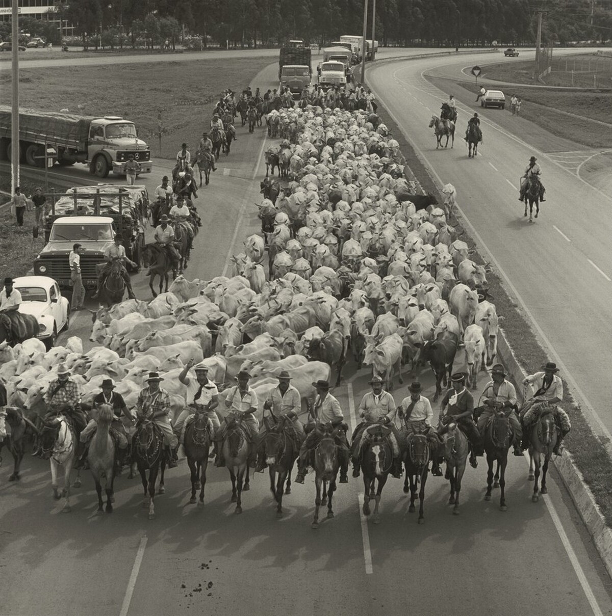 Tropiada V – Arrival in the City