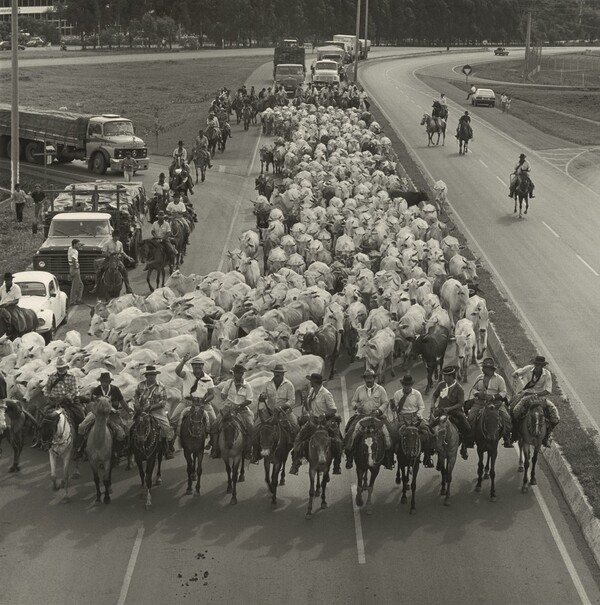 Tropiada V – Arrival in the City