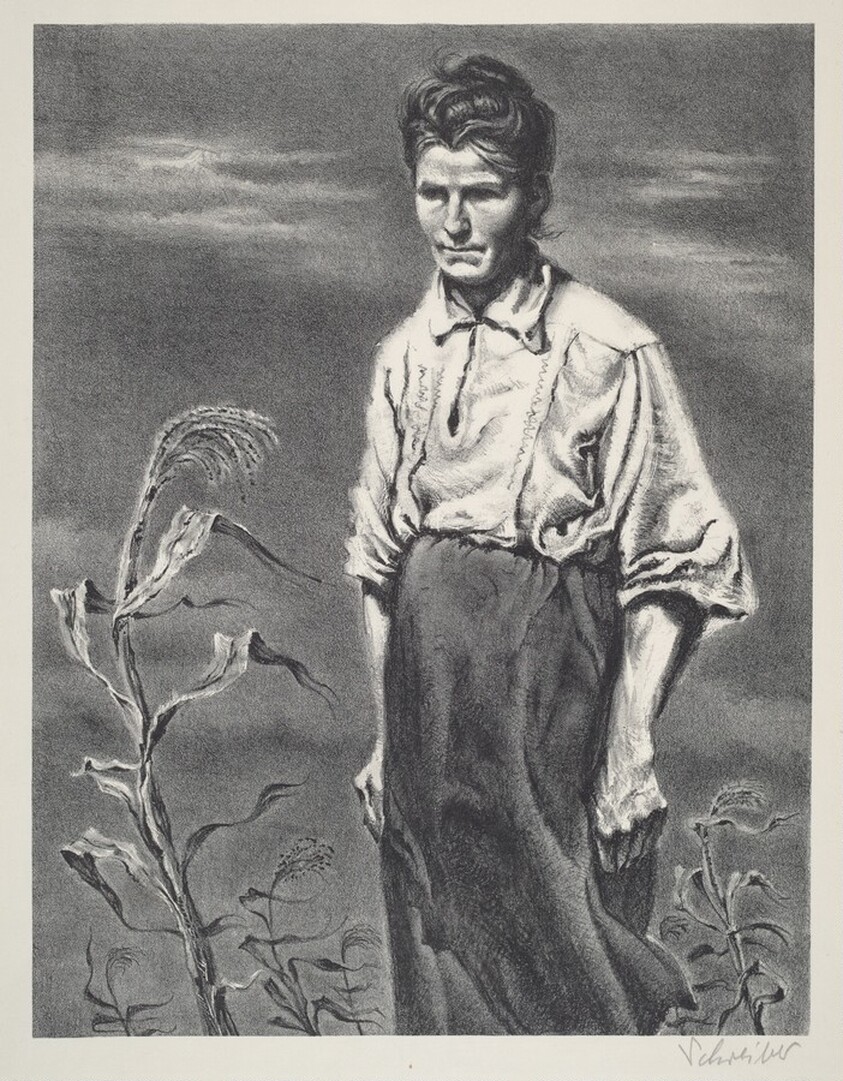 I Raise Turkeys and Chickens