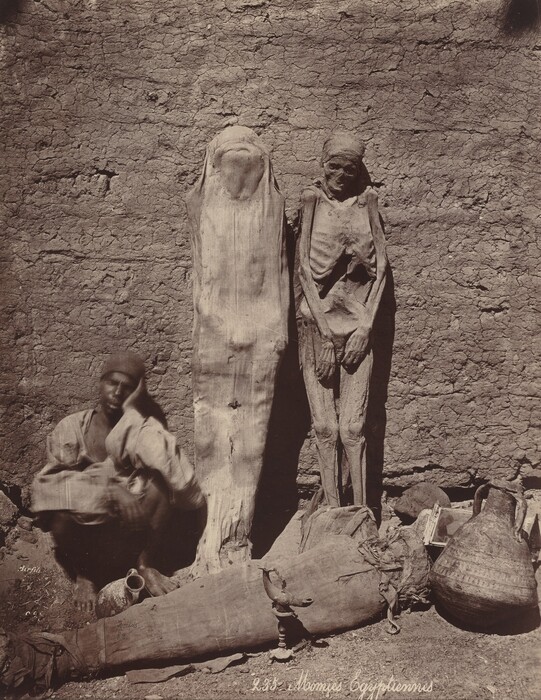 Two wrapped mummies stand propped against a rough, earthen wall in this vertical black and white photograph. The mummy on our left is entirely covered with light-colored fabric while the mummy on the right appears to be uncovered or the coverings have melded to the skin and skeleton. A dark-skinned man sits against the wall to the left of the mummies. He wears a cap and a long, loose, light-colored tunic. His bare feet are planted on the dry, cracked dirt ground, his knees bent so he can prop one elbow on a knee to rest his head, sleeping. His arms and head are slightly blurred, and a vessel sits between his feet. Another mummy, wrapped more thickly than the other two, lies across the bottom of the picture. A larger painted vessel with a wide belly and artifacts, including perhaps a wrapped skull and an oil lamp, are displayed around the prone mummy. Cursive text along the bottom of the photograph reads "235 Momies Egyptiennes."