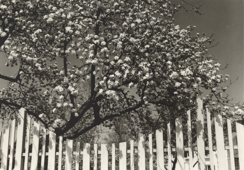 Lighthouse, Nobska Point