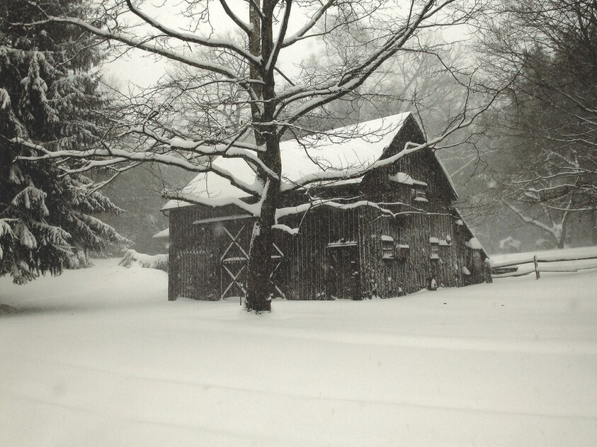 Irving Penn's Darkroom