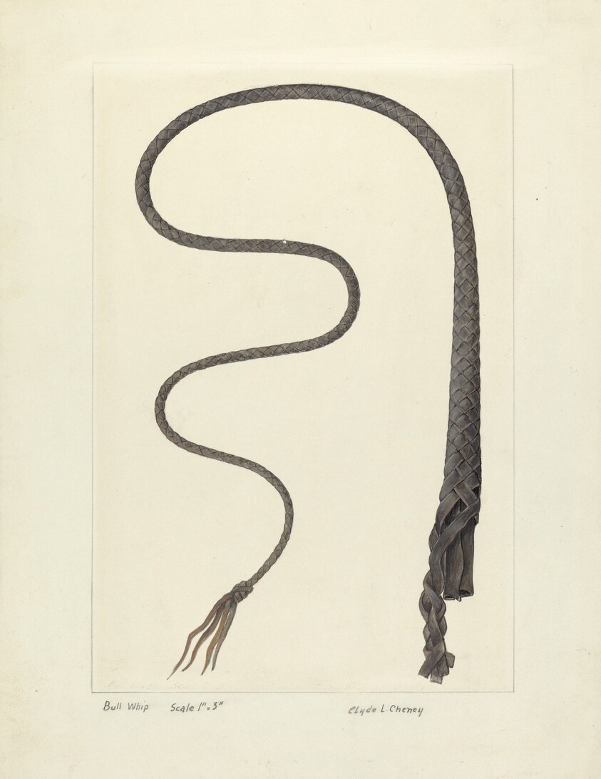 Bull Whip