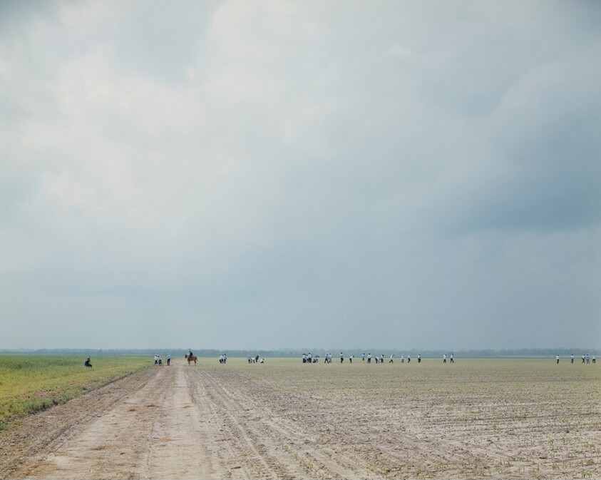 The Farm, Angola State Prison, Louisiana
