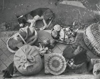 Market, Pays Basque, André Kertész, 1931, printed 1981