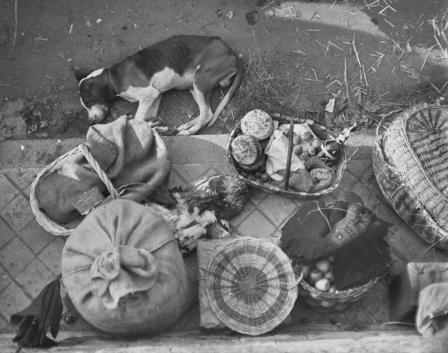 A dog is lying on the ground near a collection of baskets and sacks that contain various items such as bread, a chicken, eggs, and a liquor bottle.