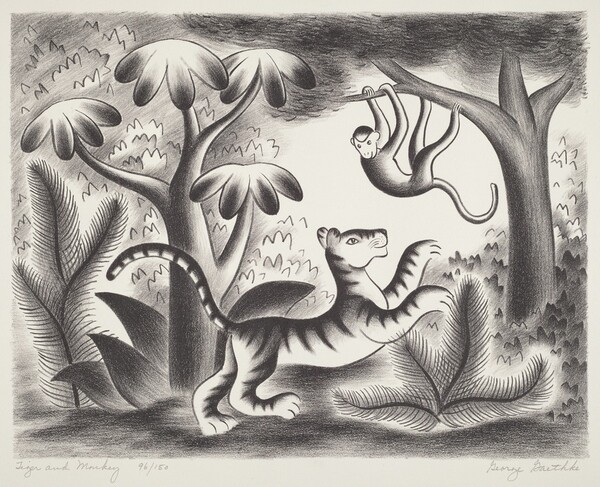 Tiger and Monkey