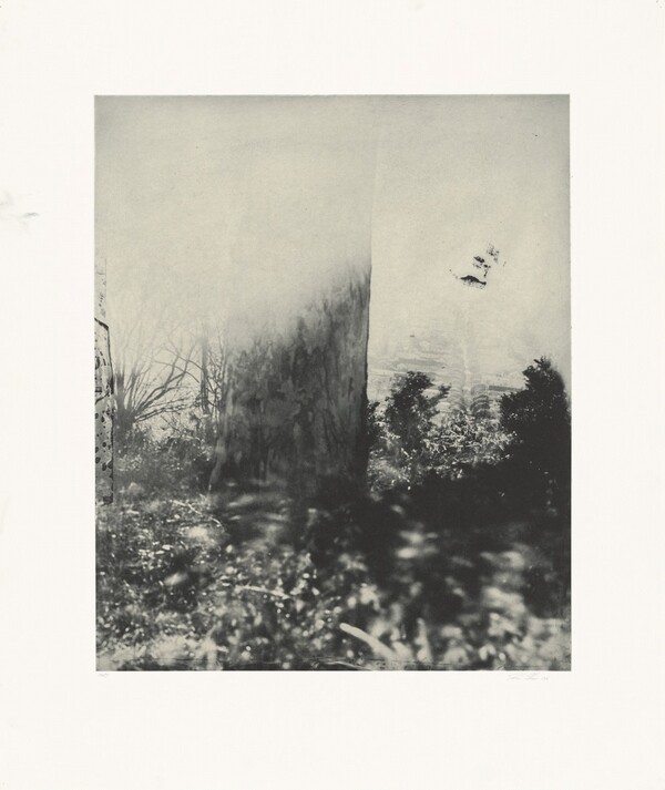 24th at Carolina (Center Variation)