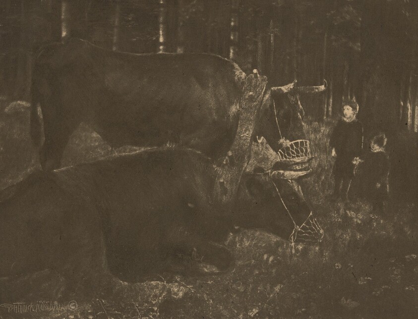 Yoked and Muzzled - Marriage