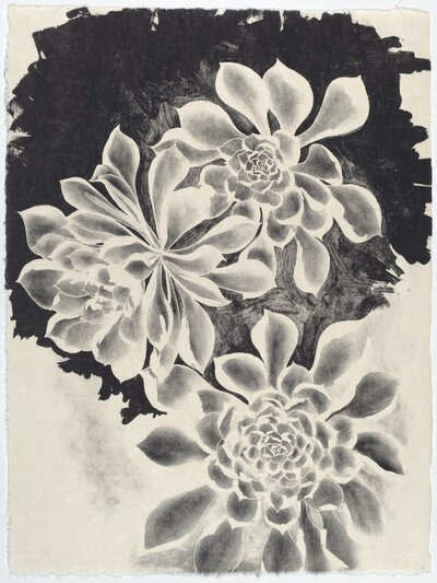 Succulents