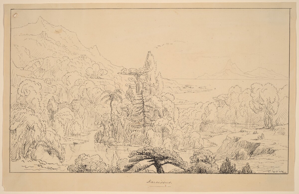 Narcissus [recto]