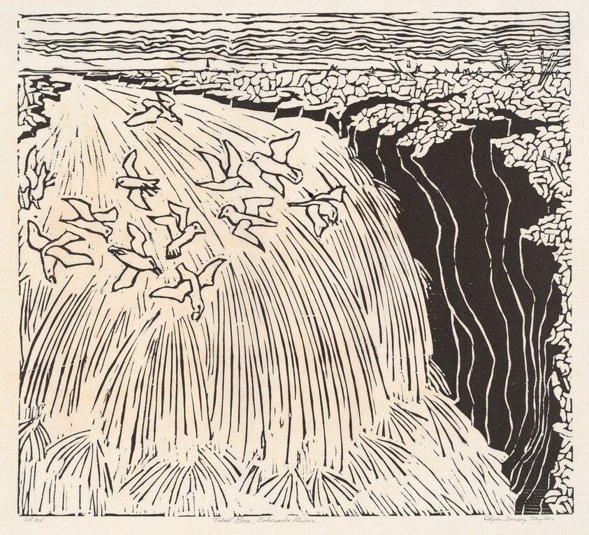 Tidal Bore, Colorado River