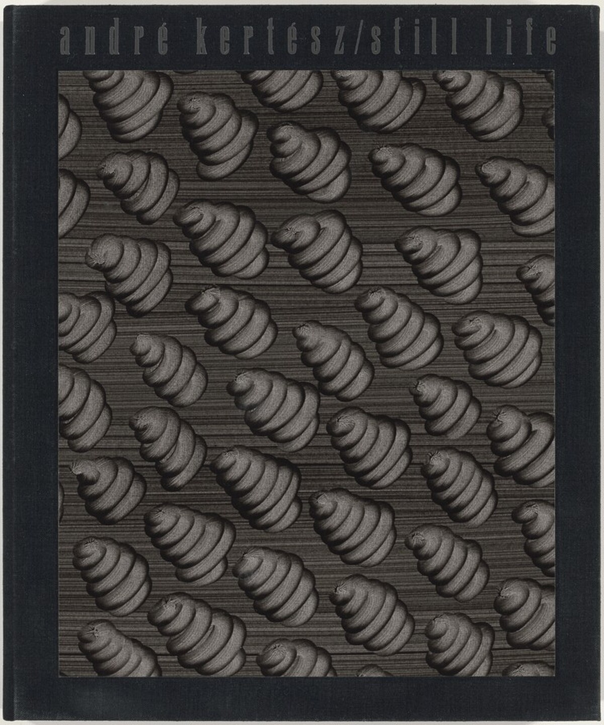 André Kertész/Still Life
