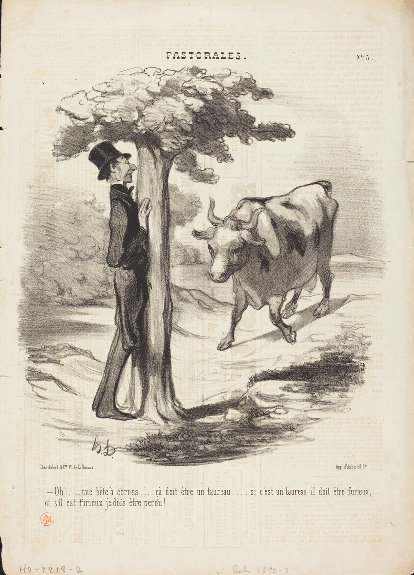 Oh!... une bête a cornes...