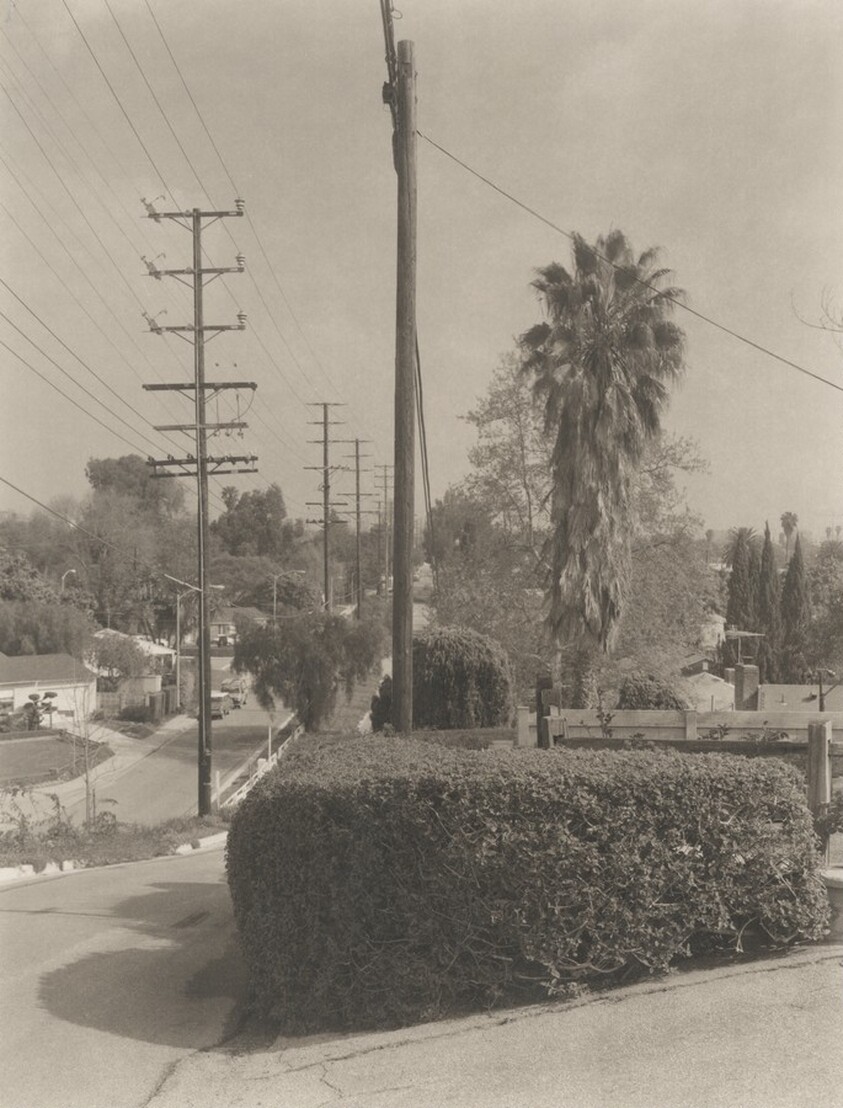 Charnock Road/Inglewood Boulevard, Mar Vista (Venice)