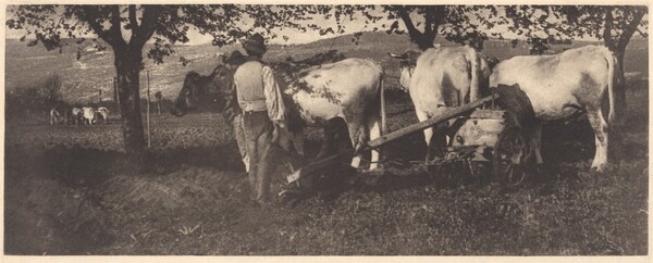 Ploughing Team