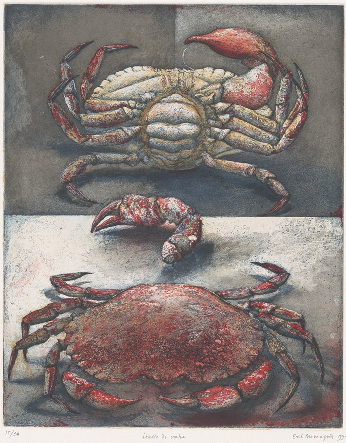 Study of a Crab (Étude de crabe)