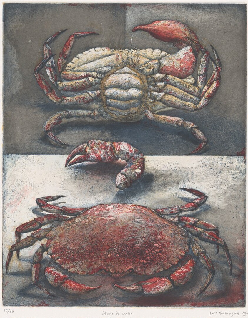 Study of a Crab (Étude de crabe)