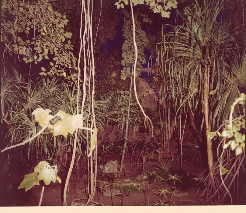 The image shows a dense jungle scene with lush green foliage and thin hanging vines creating a curtain-like effect. Various plants with spiky leaves and undergrowth add texture to the scene. The color palette consists of shades of green. Light illuminates some leaves, contrasting with shadowed areas.
