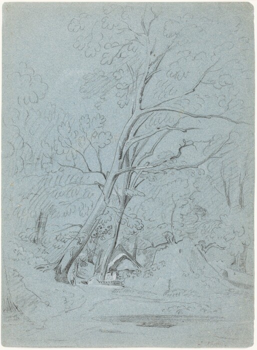 This is a drawing of a natural scene on blue paper. The viewpoint is from the ground level, showing a cluster of trees with a small structure within them. The trees are leaning and create dynamic lines. The drawing style is loose and sketch-like, with delicate pencil marks outlining the foliage and tree trunks. The color palette is mainly grey pencil lines against the blue paper. In the distance, there are vague tree shapes suggesting a forest continuing further back.