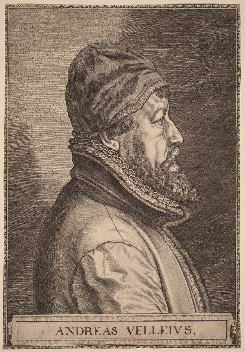Andreas Velleius (Anders Sorensen Vedel)