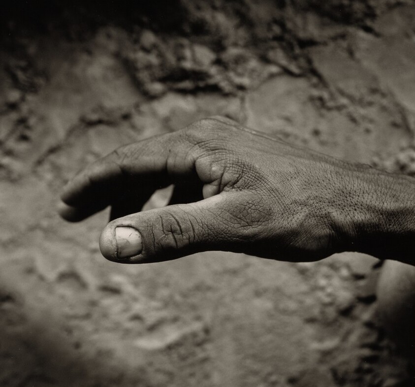 The "Hope" Grasshopper. Dona Antônia's Wish-Ribbon Bracelet. Five Centuries Work the Land at Black River.