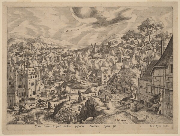 Bird Dropping Blinding Tobit