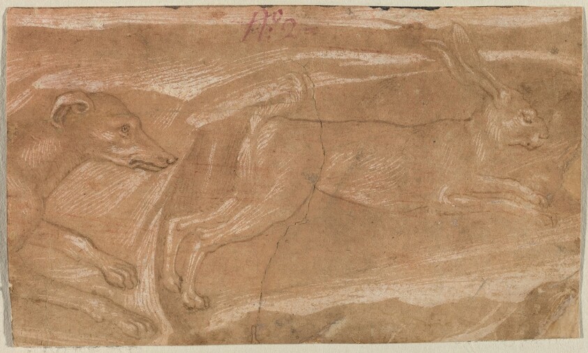 A Hound Chasing a Hare