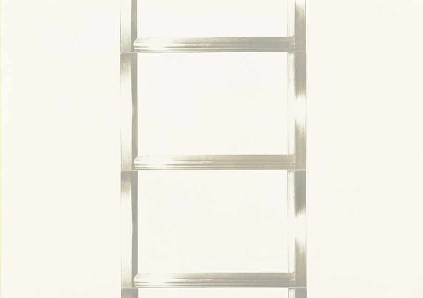 20 Foot Ladder for any Size Wall [II]