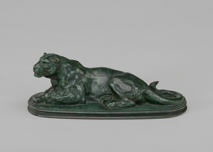 Reclining Panther