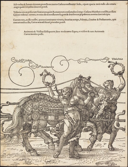 This is a drawing featuring a chariot scene with classical figures and horses. Two figures are guiding a decorated chariot pulled by two ornate horses. Latin text is above the scene, along with decorative scrollwork labeling the figures as "Acrimonia" and "Virilitas." The drawing is highly detailed with a classical style highlighting the elegance of the horses and the dynamic poses of their guides. The horses are adorned with armor-like coverings and intricate patterns, while the figures wear flowing garments reminiscent of classical Greco-Roman styles. The use of lines and shading provides texture and depth to the scene.