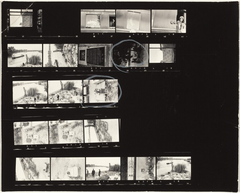 Dog cemetery--Paris 11