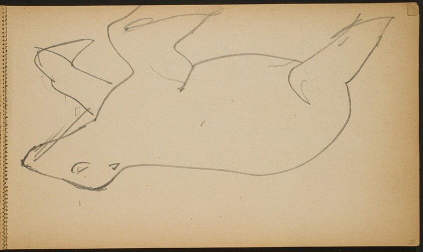 Seelöwe (Sea Lion) [p. 21]