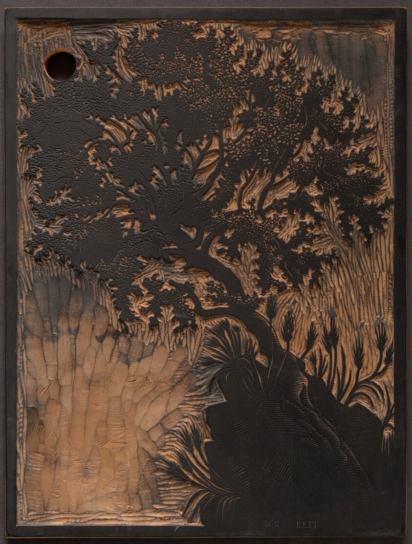 Carruba Tree (Ravello) [recto]