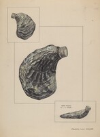 Oyster Shaped Flask, Francis Law Durand, c. 1936