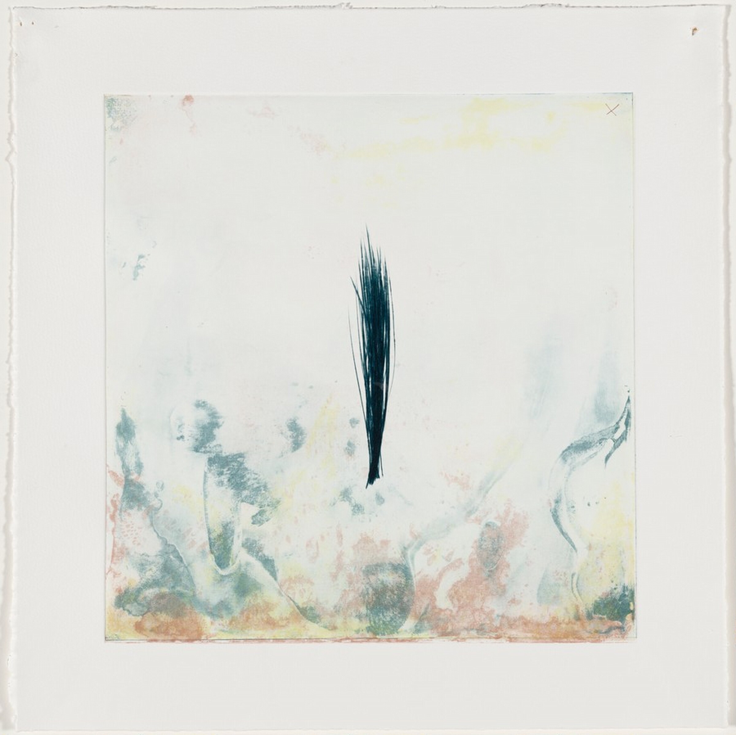 New Growth [working proof 2], Tom Marioni, 2006