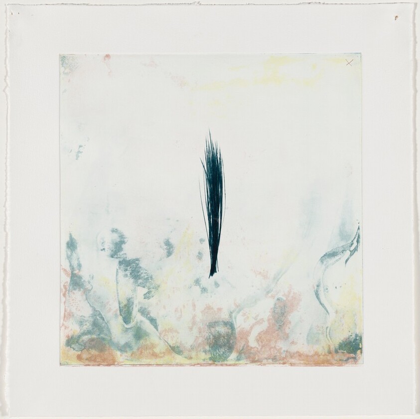 New Growth [working proof 2]