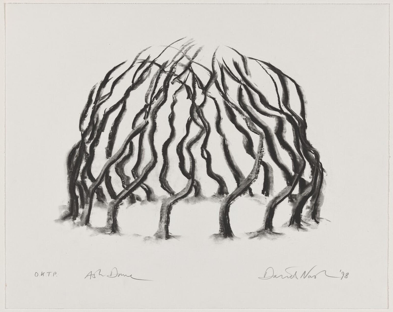 Ash Dome, David Nash, 1999