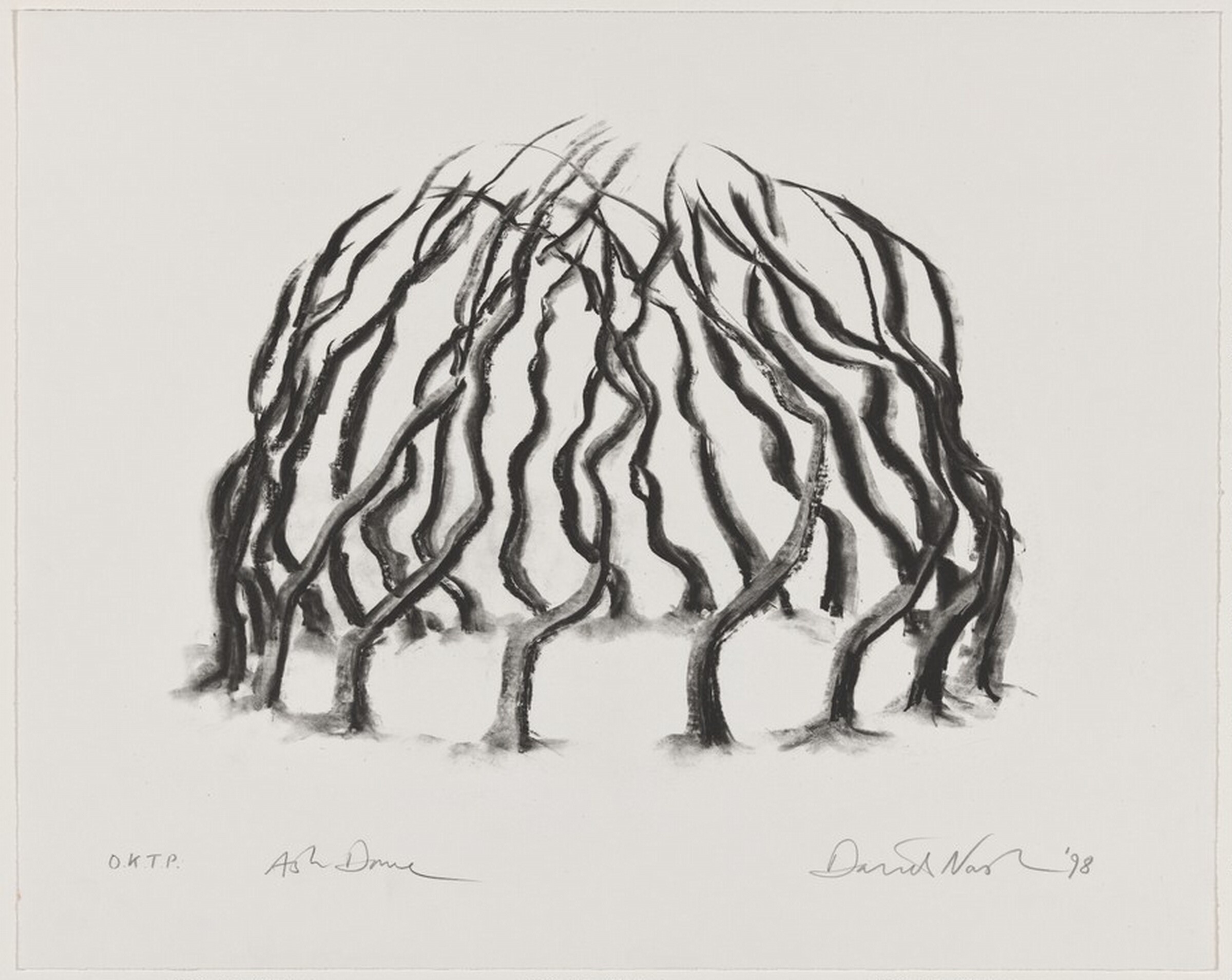 Ash Dome, David Nash, 1999