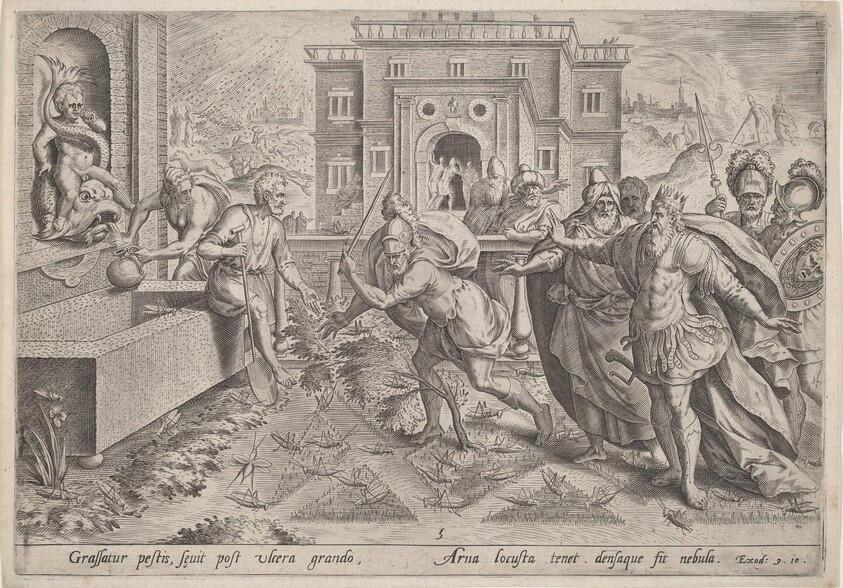 The Plague of Locusts