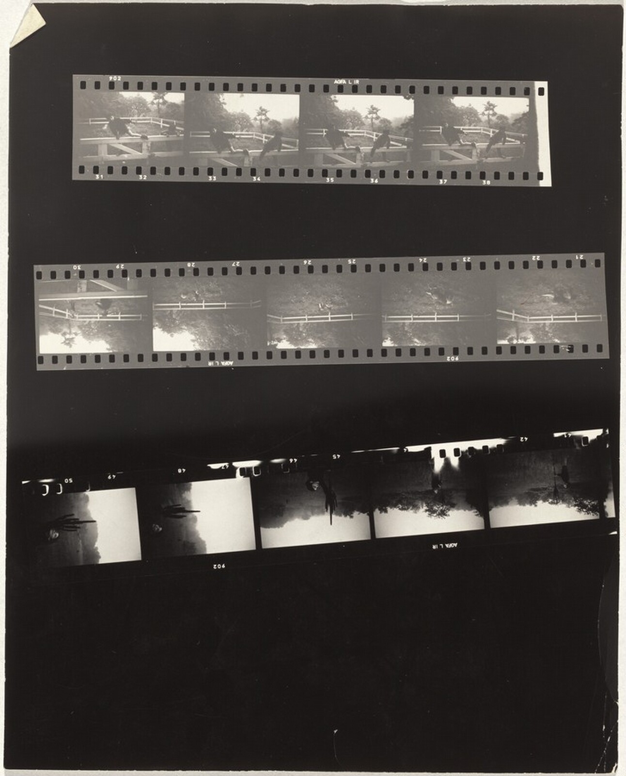 Long Island no number, Robert Frank, c. 1958-1959