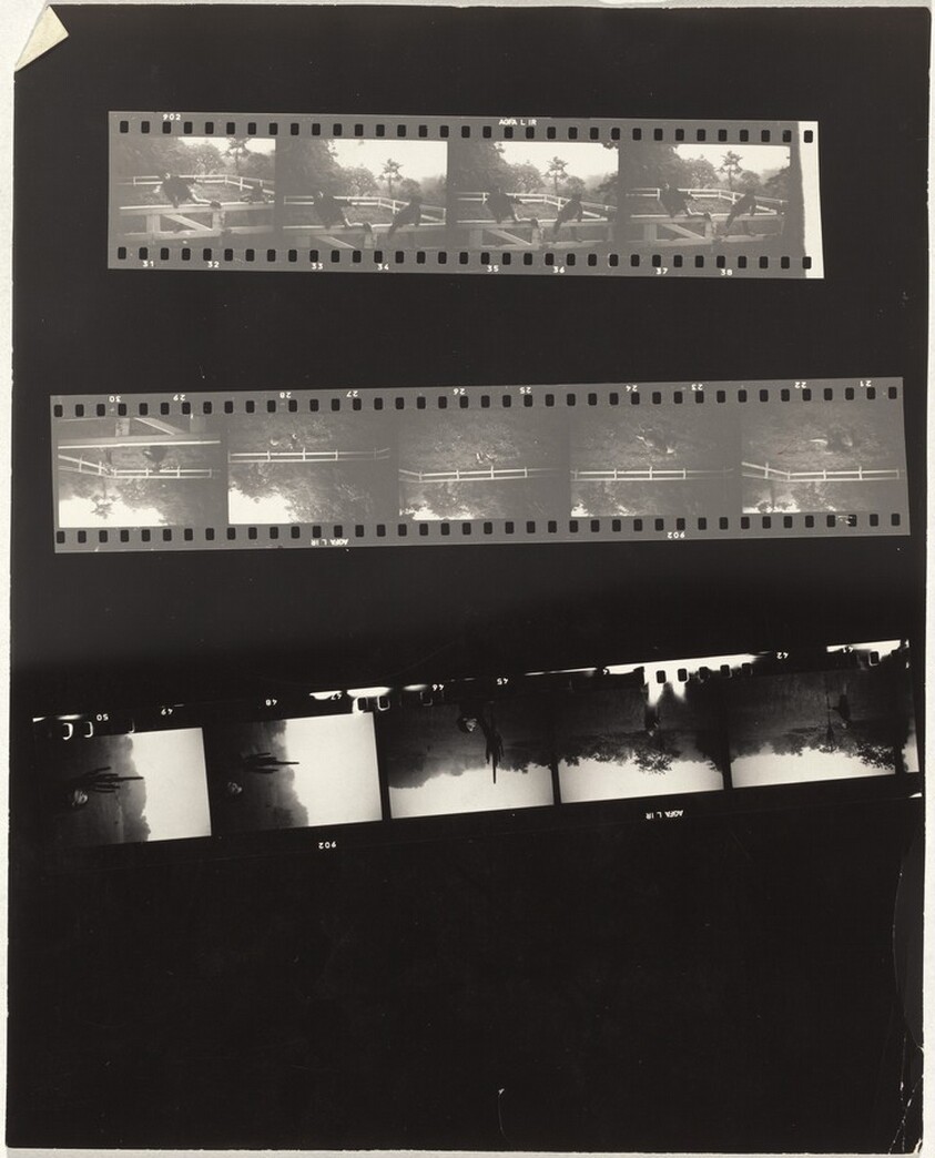 Long Island no number