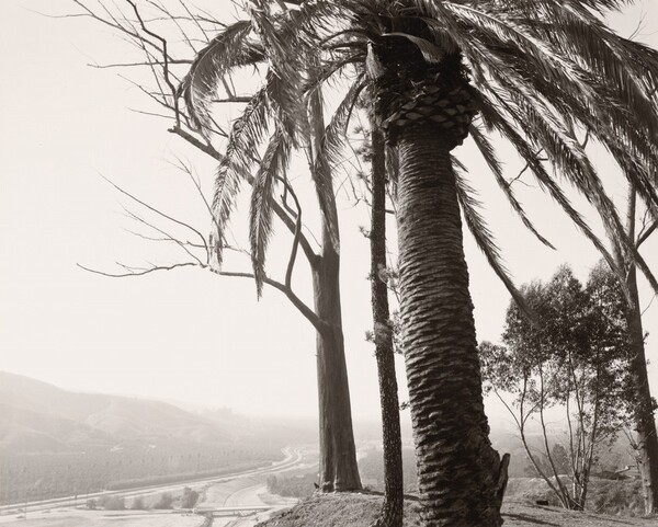 Edge of San Timoteo Canyon, Redlands, California