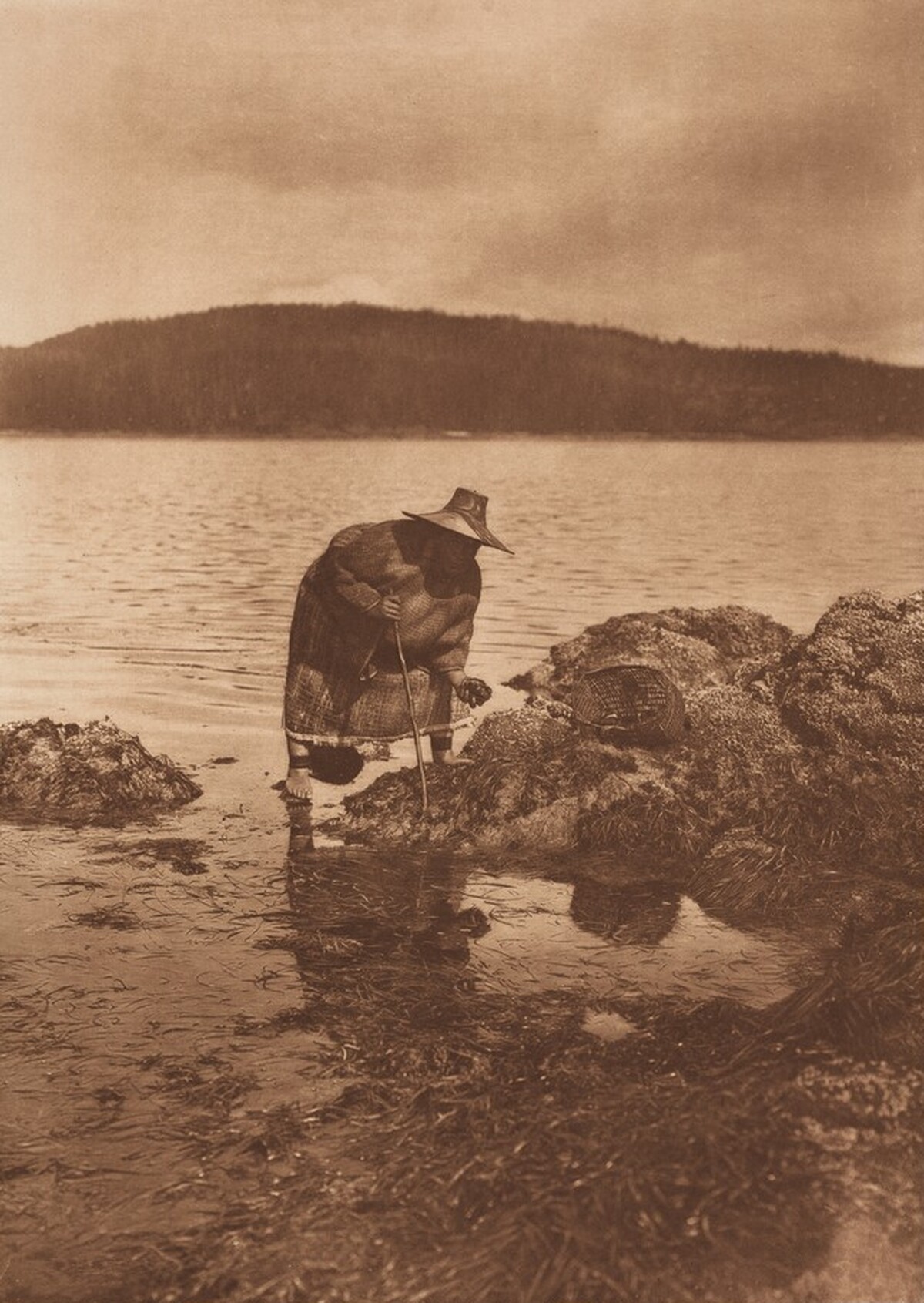 Gathering Abalones - Nakoaktok [Plate 342]