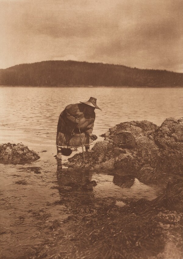 Gathering Abalones - Nakoaktok [Plate 342]