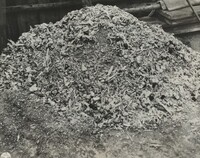 Title from caption on object: “One Day's Work”, American 20th Century, United States Army Signal Corps, April 1945