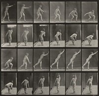 Plate Number 307. Throwing an iron disk, Eadweard Muybridge, 1887