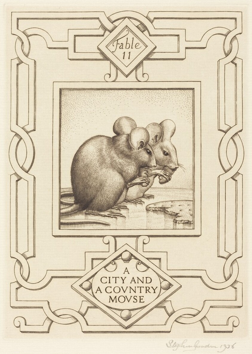 A City and a Country Mouse