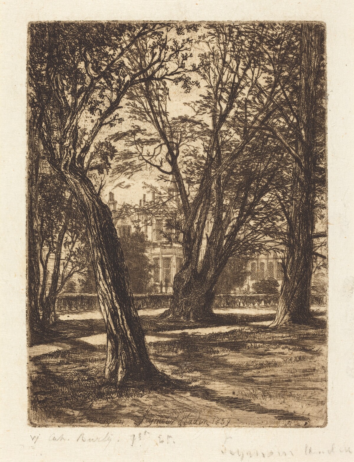 Kensington Gardens (The Small Plate)