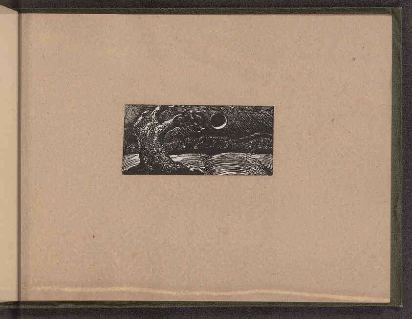 Blasted Tree and Flattened Crops